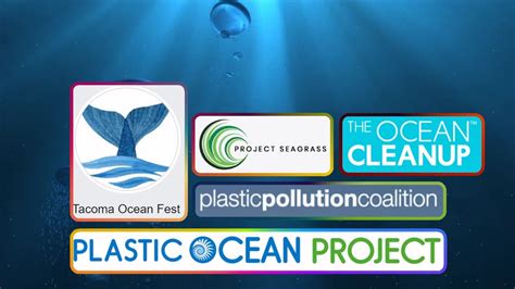 organization helping ocean pollution