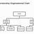 organizational chart of a sole proprietorship business