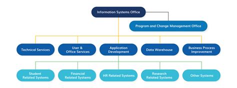 organizational structure of infosys