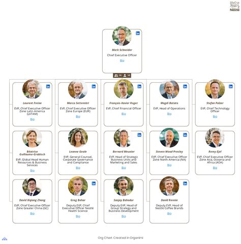 organizational structure of nestle company