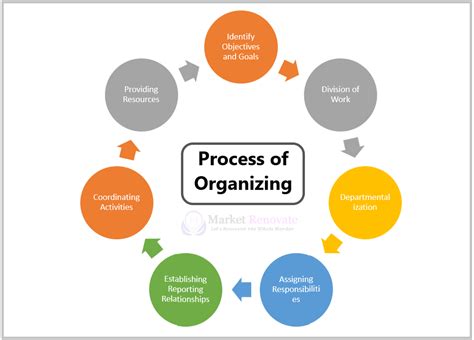 Organizing Process Examples