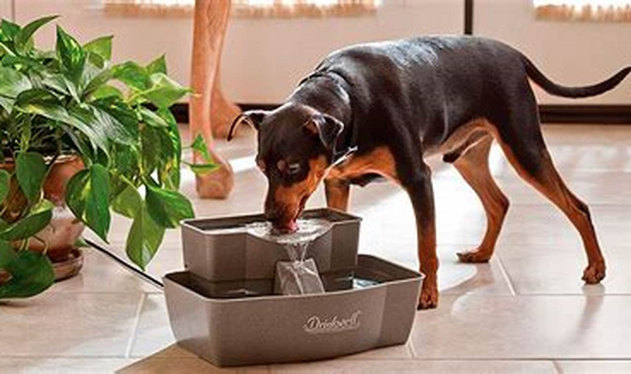 origami dog water bowl