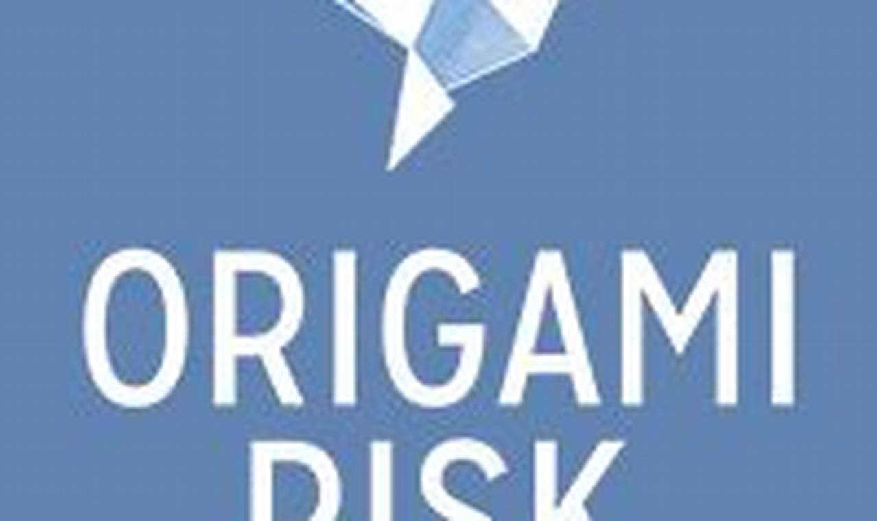 origami risk fp&a manager