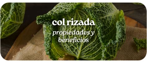 origen de la col rizada