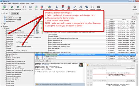 Origin Delete Branch
