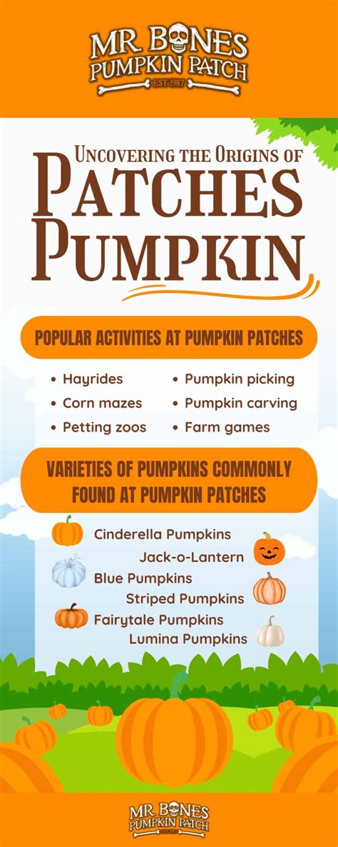 Origin Of Pumpkin Patch