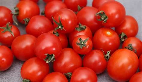 Tomate cerise (250gr) plusieurs variétés – Zot Marché