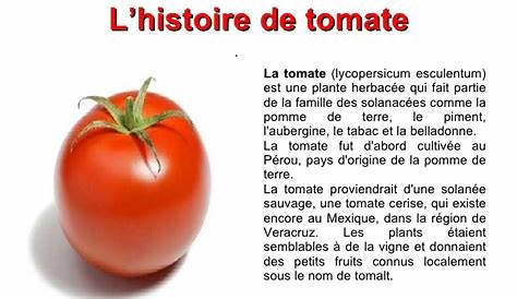 Le concentré de tomate, un produit agro-industriel mondialisé