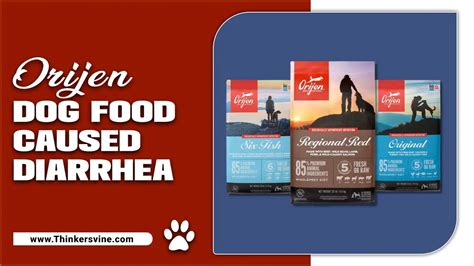 Orijen Grain Free Dry Dog Food (Adult) Pet Connection