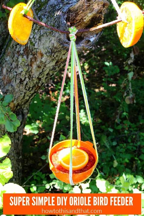 orioles bird feeders homemade ideas