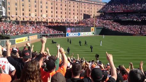 orioles fan runs on field