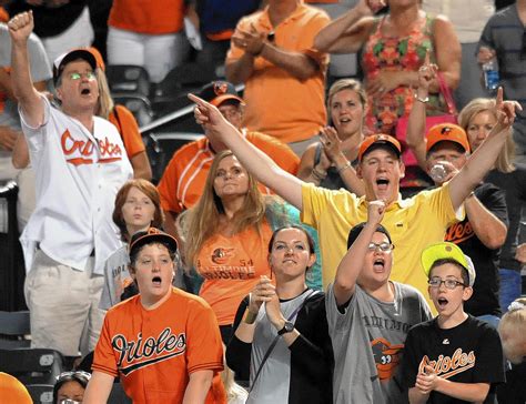 orioles fans of tampa bay