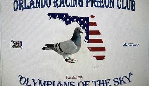 AMERICAN RACING PIGEON UNION: Shasta Racing Pigeon Club (SRP)