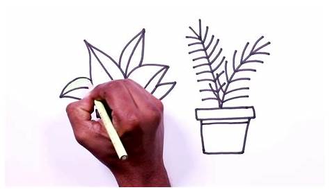 Ornamental Plants Drawing Easy Flowers Vintage Style Hand Drawn Témájú