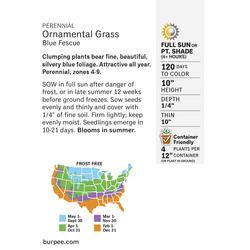 Ornamental Grass Menards