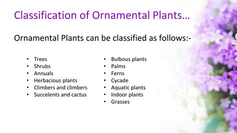 Ornamental Plants Classification