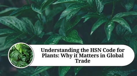 Ornamental Plants Hsn Code