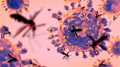 Oropouche Virus: The Mystery of Sloth Fever Explained