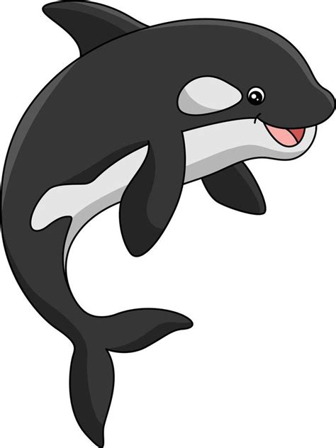 Imágenes orcas Orca de dibujos animados — Vector de stock © dualoro