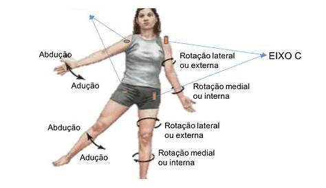 Os principais movimentos do corpo