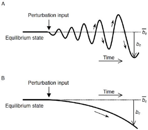 Oscillatory Instability