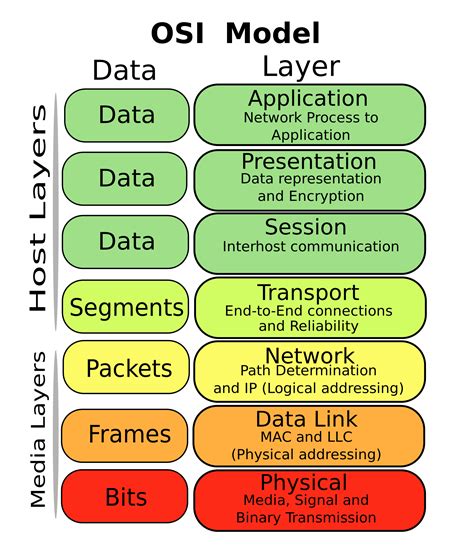 osi protocols by layer