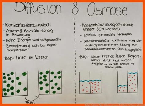 Folge 011 Brownsche Molekularbewegung Diffusion und Osmose
