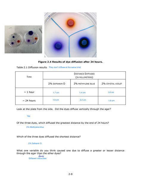 Osmosis And Diffusion Lab Results