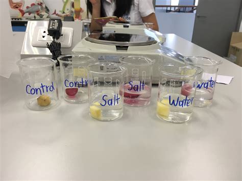 Osmosis Lab Ideas