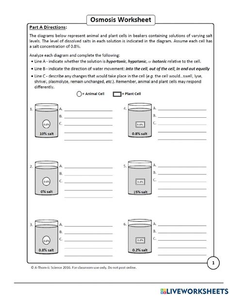 Osmosis Worksheet