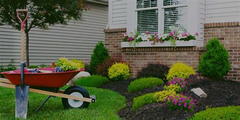 osorio tree service and landscaping