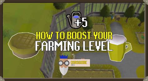 osrs farming boosts