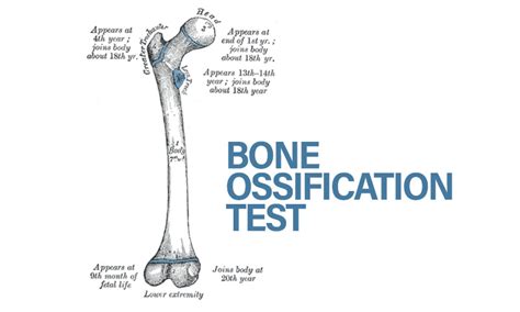 ossification test accuracy