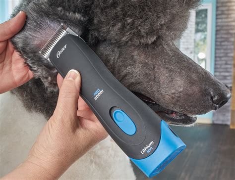 oster cordless dog grooming clippers