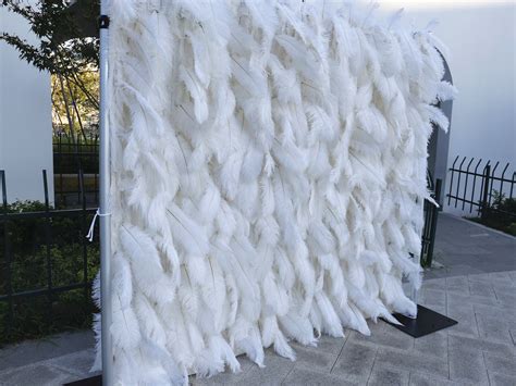 Ostrich Feather Wall Decor