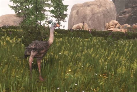 ostrich pet conan exiles