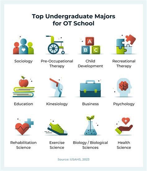 5 OT Undergrad Programs