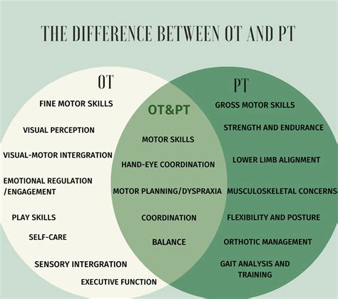 5 OT vs Speech Therapy Tips