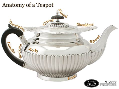 Other Term For Teapot