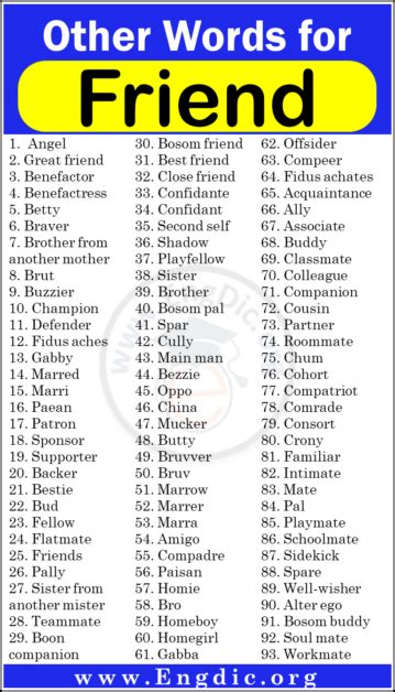 other words for friendship day