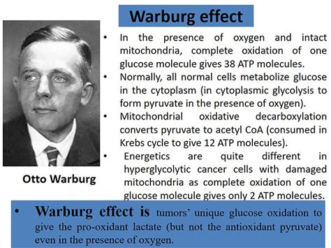 Otto Warburg Effect