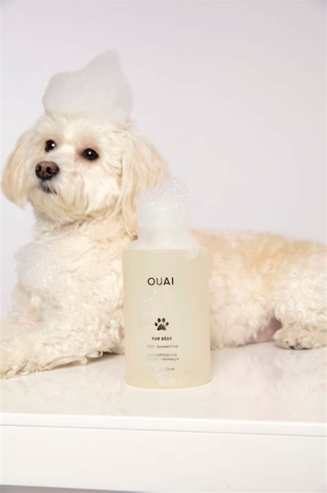 Ouai Dog Conditioner