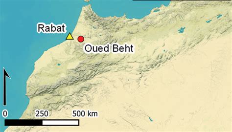 Oued Beth Farming: Community's New Growth Revolution