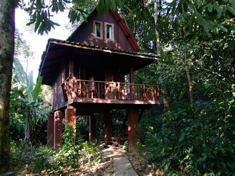our jungle house khao sok national park