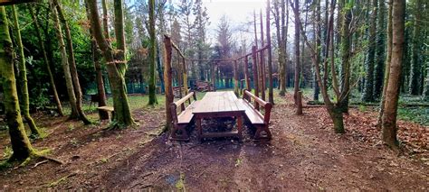 Images Out In The Forest Ideas