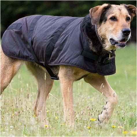 Outback Oilskin Dog Coat