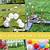 outdoor birthday party game ideas