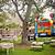 outdoor birthday party ideas for kids