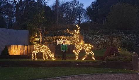 Outdoor Christmas Decorations Northern Ireland