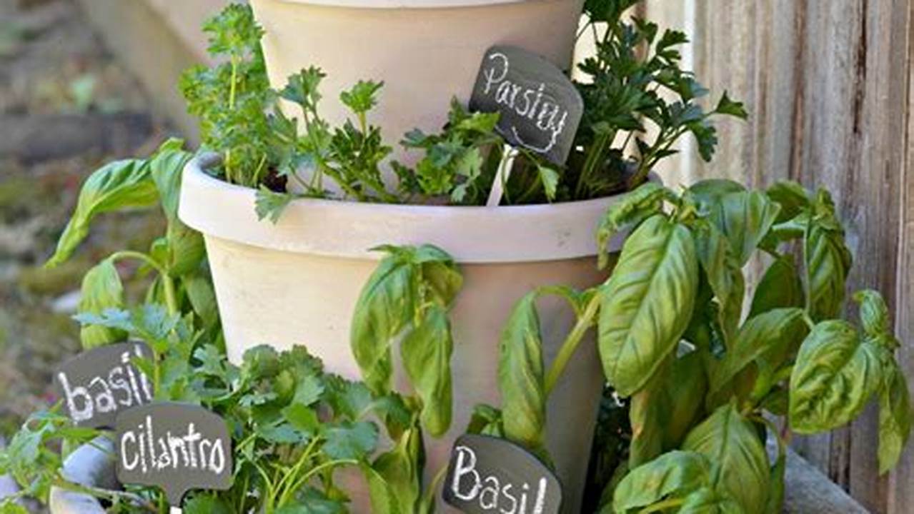 Discover the Ultimate Guide to Outdoor Herb Garden Pots: Unlock a World of Flavor and Well-being